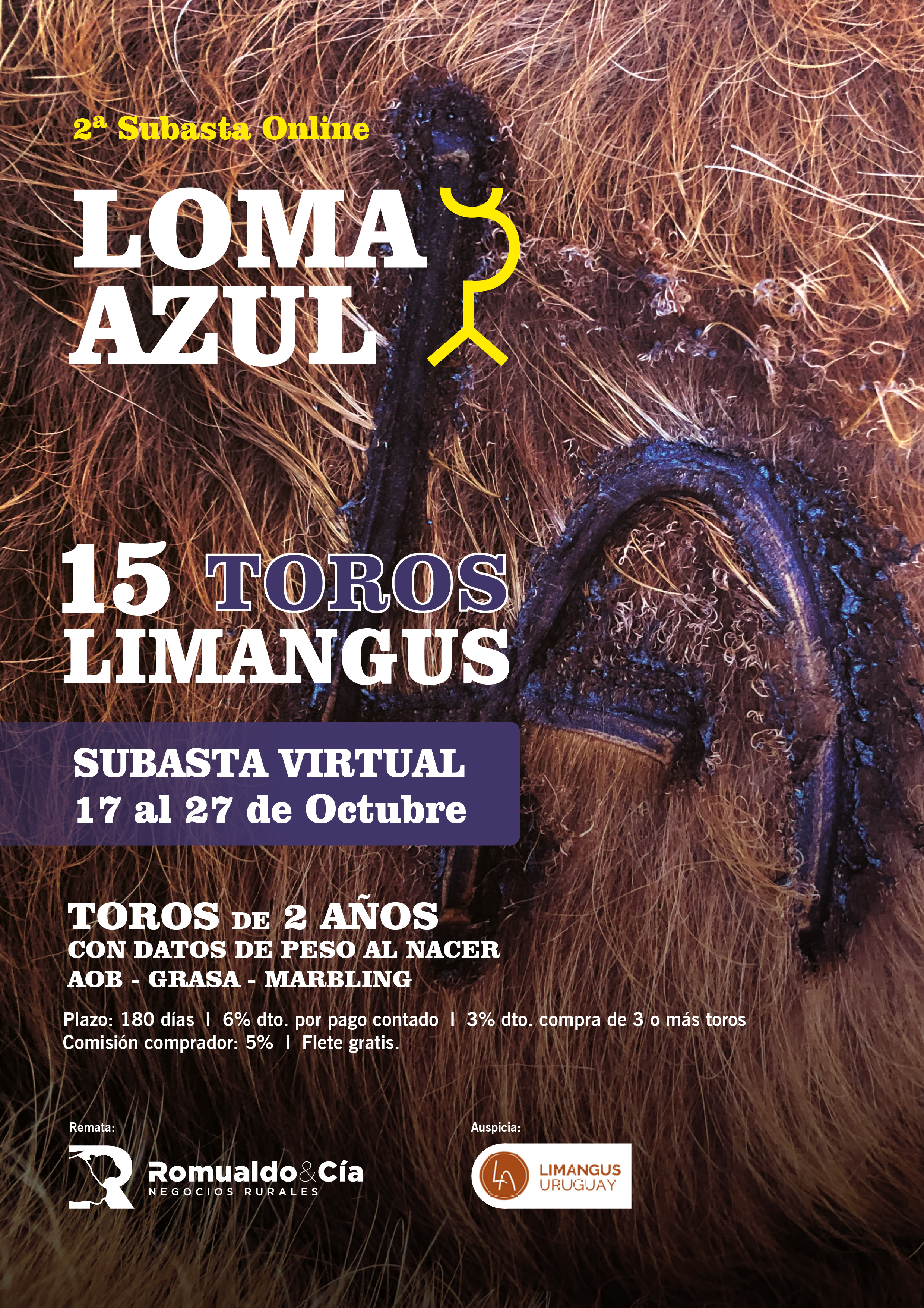 2ª Subasta Online - Limangus de LOMA AZUL